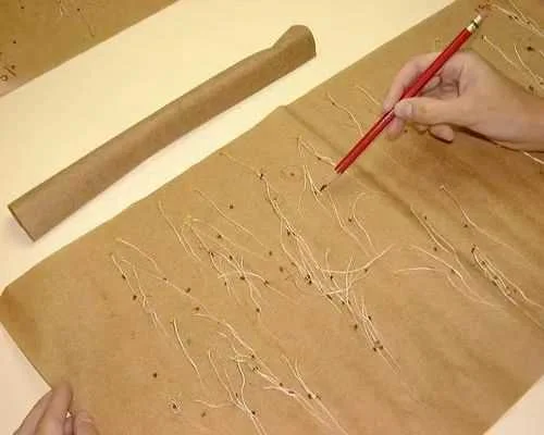 Seeded Paper — 180 GSM